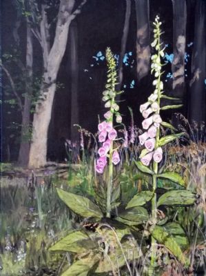 Digitalis i skoven